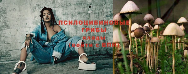 mdpv Михайлов