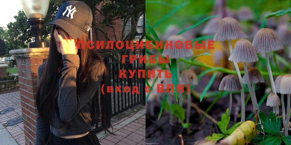гашик Медвежьегорск