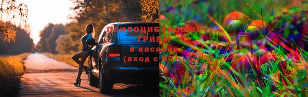героин Верея