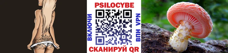 Галлюциногенные грибы Psilocybe  кракен как зайти  Новоульяновск 